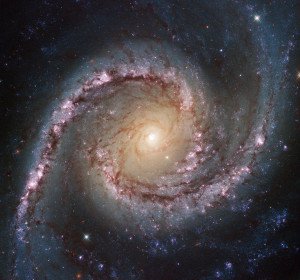 Dieses neue Hubble-Bild zeigt NGC 1566, eine wunderschöne Galaxie, die etwa 40 Millionen Lichtjahre entfernt ist 