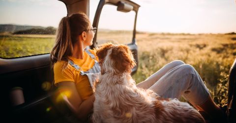 Transforming travel through cooperation, trust, and technology
