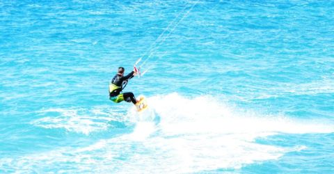 Surfer