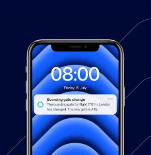 Amadeus Flight Alerts 1