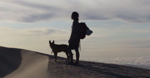 Amadeus case study