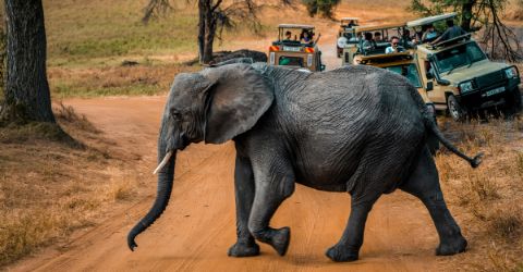 Save & Close  The new rules of travel protection