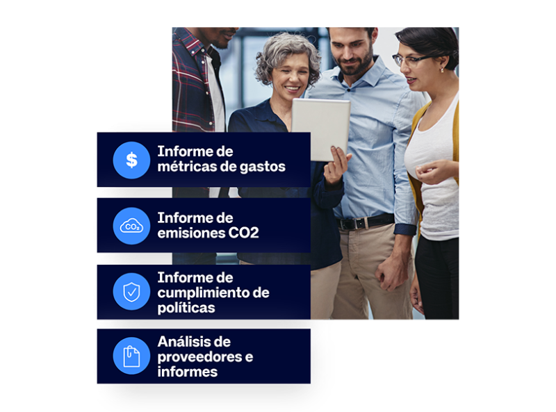 Amadeus Cytric Insight