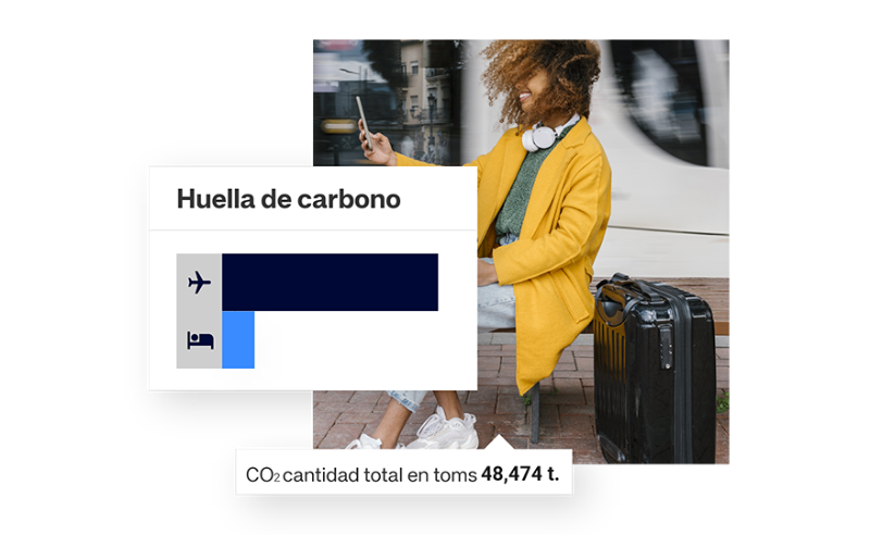 Amadeus Cytric Insight