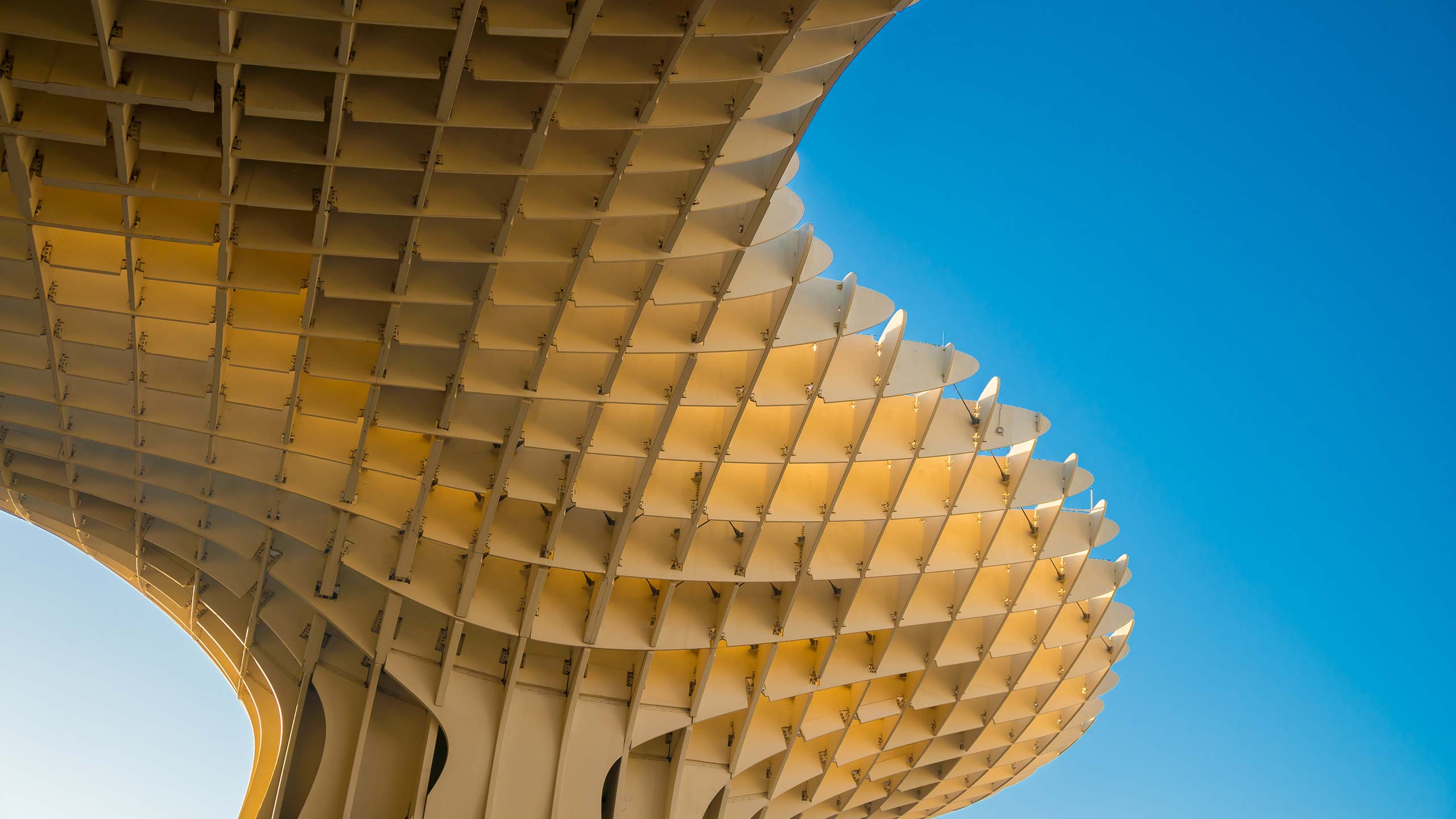 Свободные здания. Минимализм архитектура потолков и сводов. Metropol Parasol 4k.