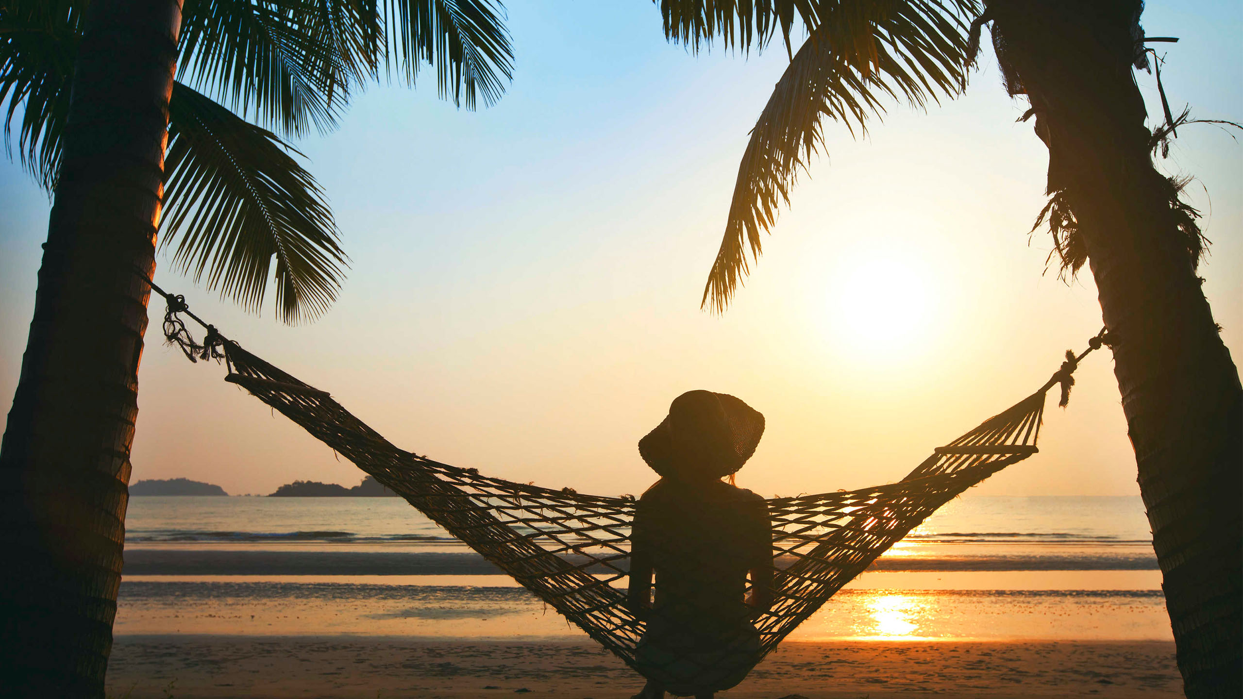 ночные пейзажи с пальмами. лето море солнце. море пальмы закат. Digis dsob-1106. влюбленные на море.